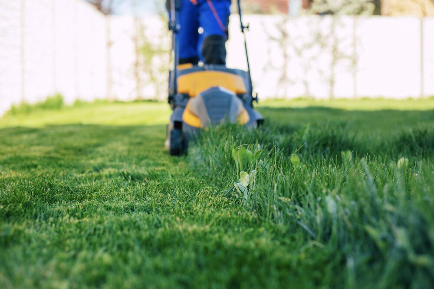 Photo of All Year-Round Lawn Care.