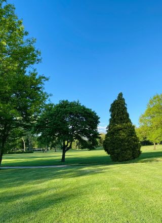 Park maintenance in Galway