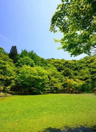 Treatment of old church lands